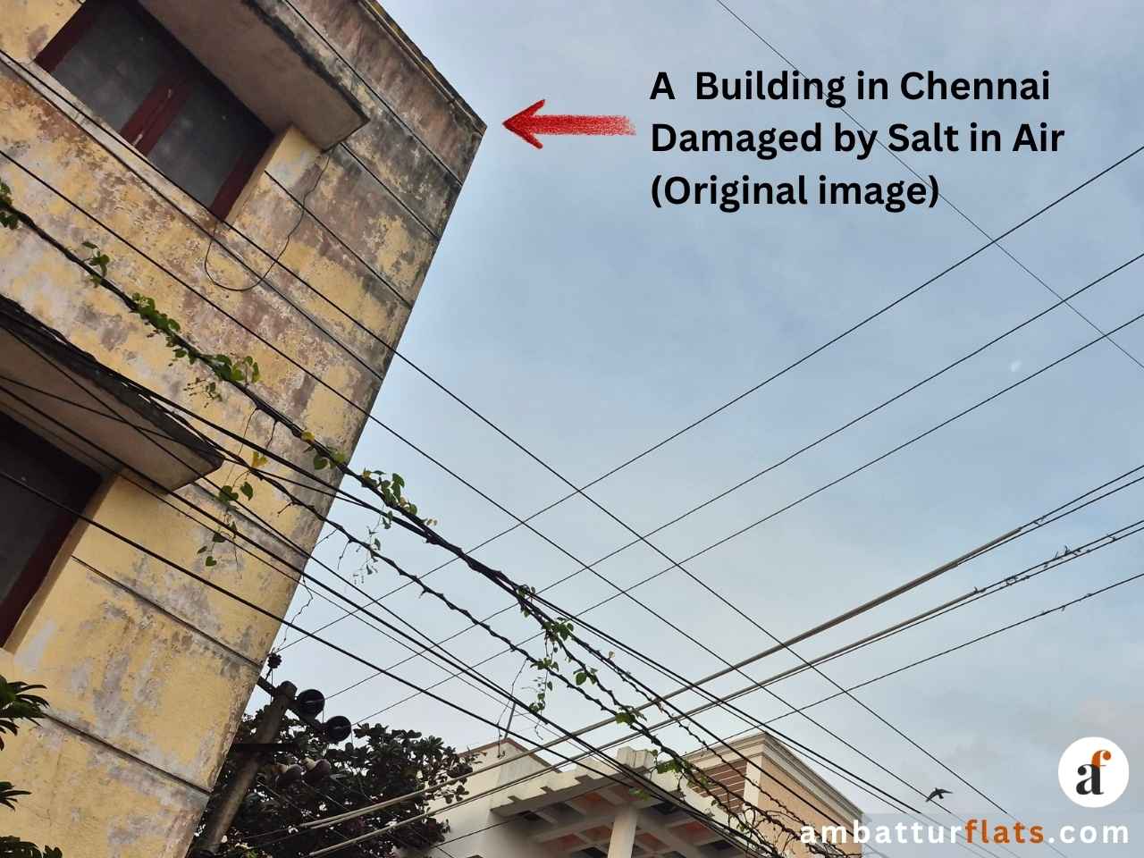 Weathered Chennai building exterior with peeling concrete, dark stains and visible signs of salt air damage